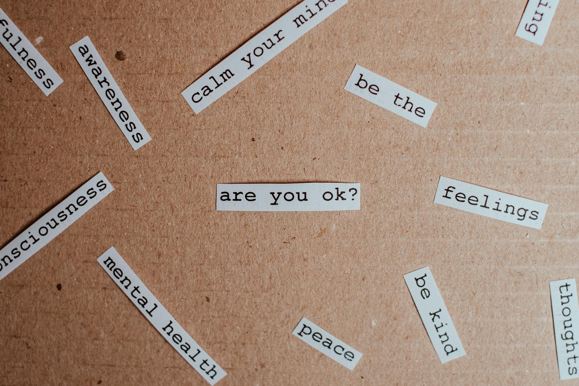 Feelings are dumb #1